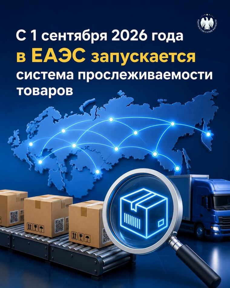Систему прослеживаемости товаров, ввезенных в ЕАЭС, запустят 1 сентября